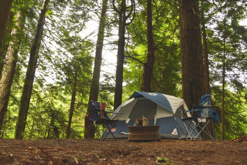 Jackery 500 vs EcoFlow Delta 2: Find Out Which Is Better For Camping 2026